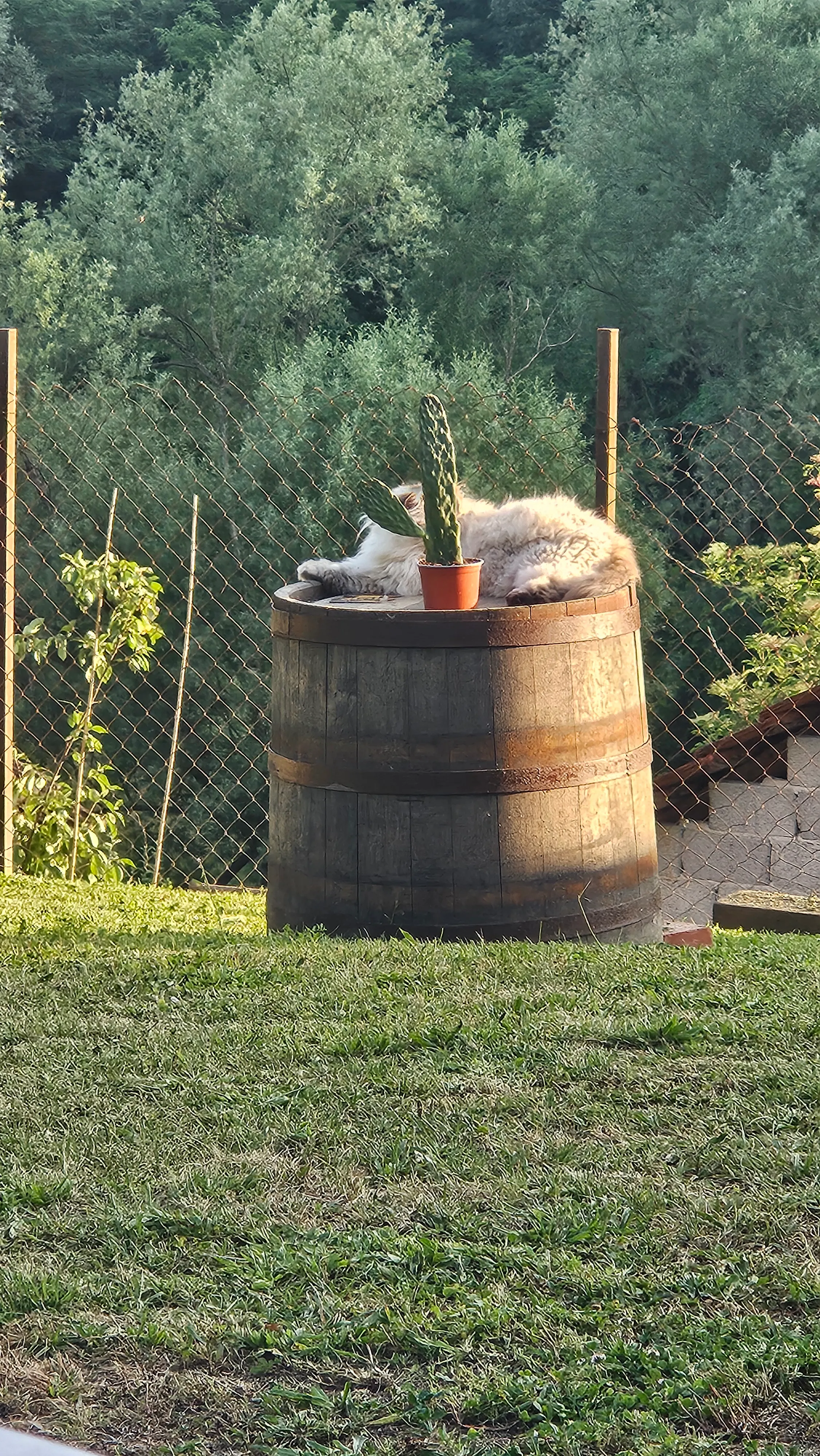 centralna lokacija zagorje; namjesteno i pogodno do 12 osoba - slika 14