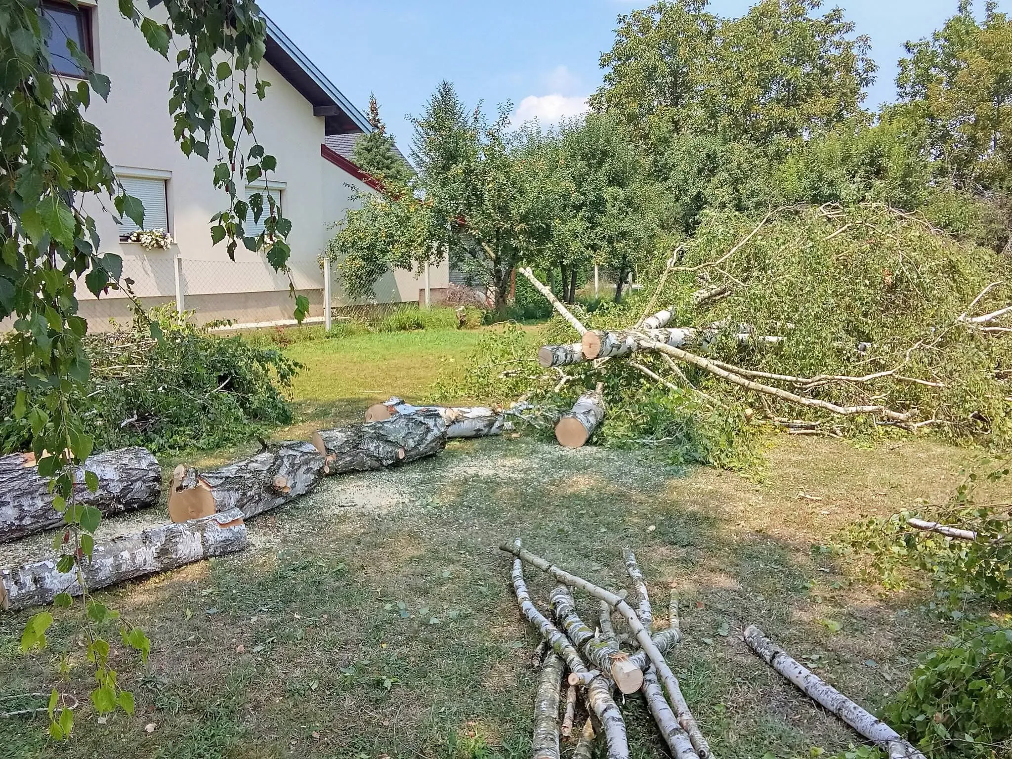 🌿 trebaš uredan i njegovan vrt bez muke? 🌿 - slika 11