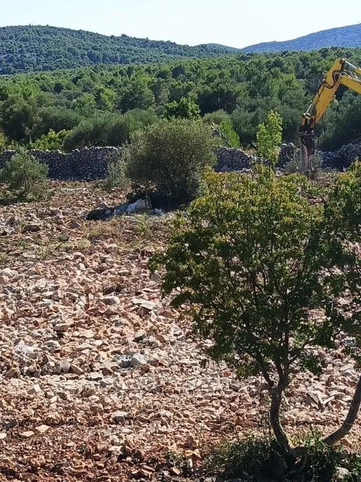 pirovac – zemljište u t3 zoni za turistički kamp - slika 3