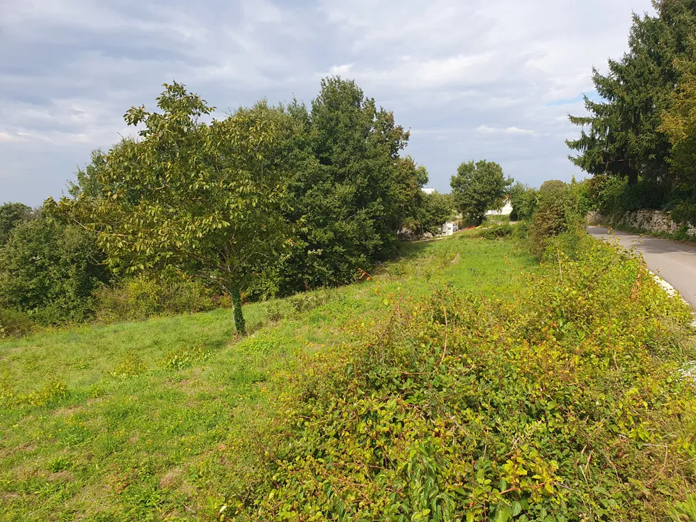 prodaja, građevinsko zemljište, sveti petar u šumi, 1522 m2 (z-661) - slika 2