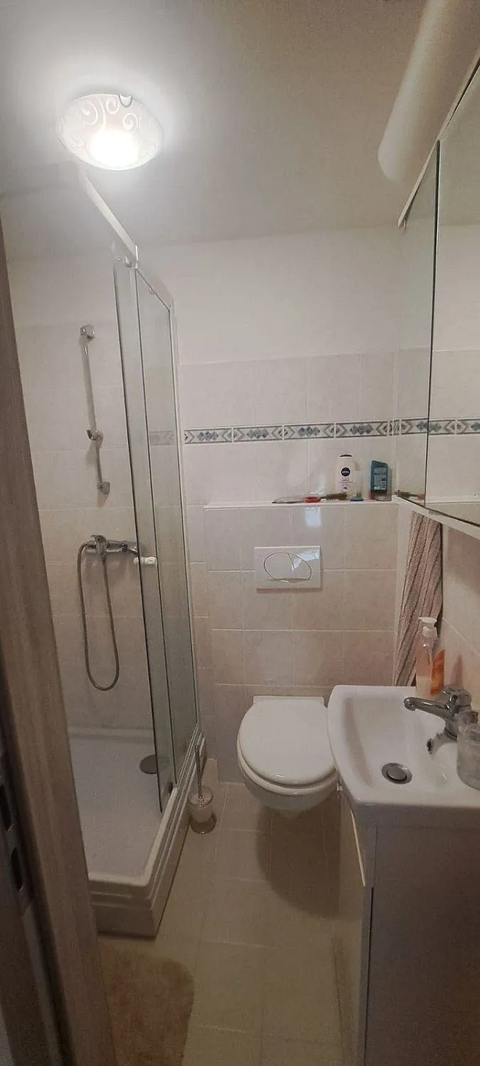 motovun-renovirana kamena kuća sa bazenom i apartmanom prodaje se - slika 4