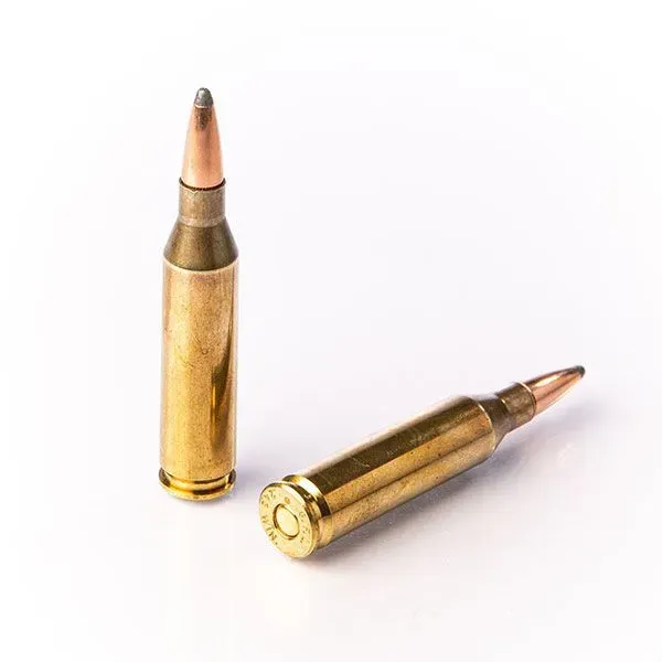 Karabinsko streljivo FIOCCHI .243 Win SP 6,5g / 100gr - Poreč