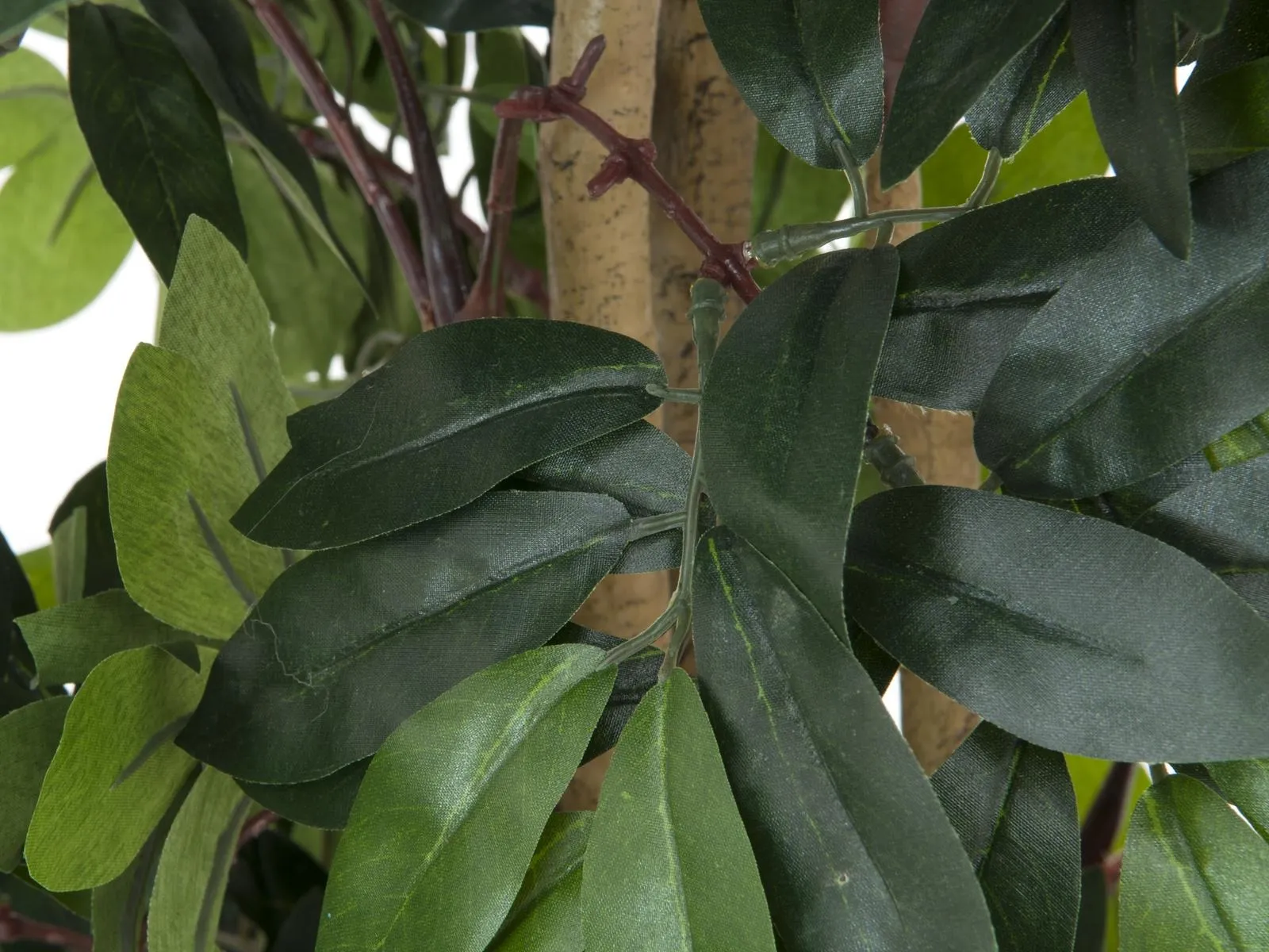 europalms mediterranean forest tree, 180cm - slika 2