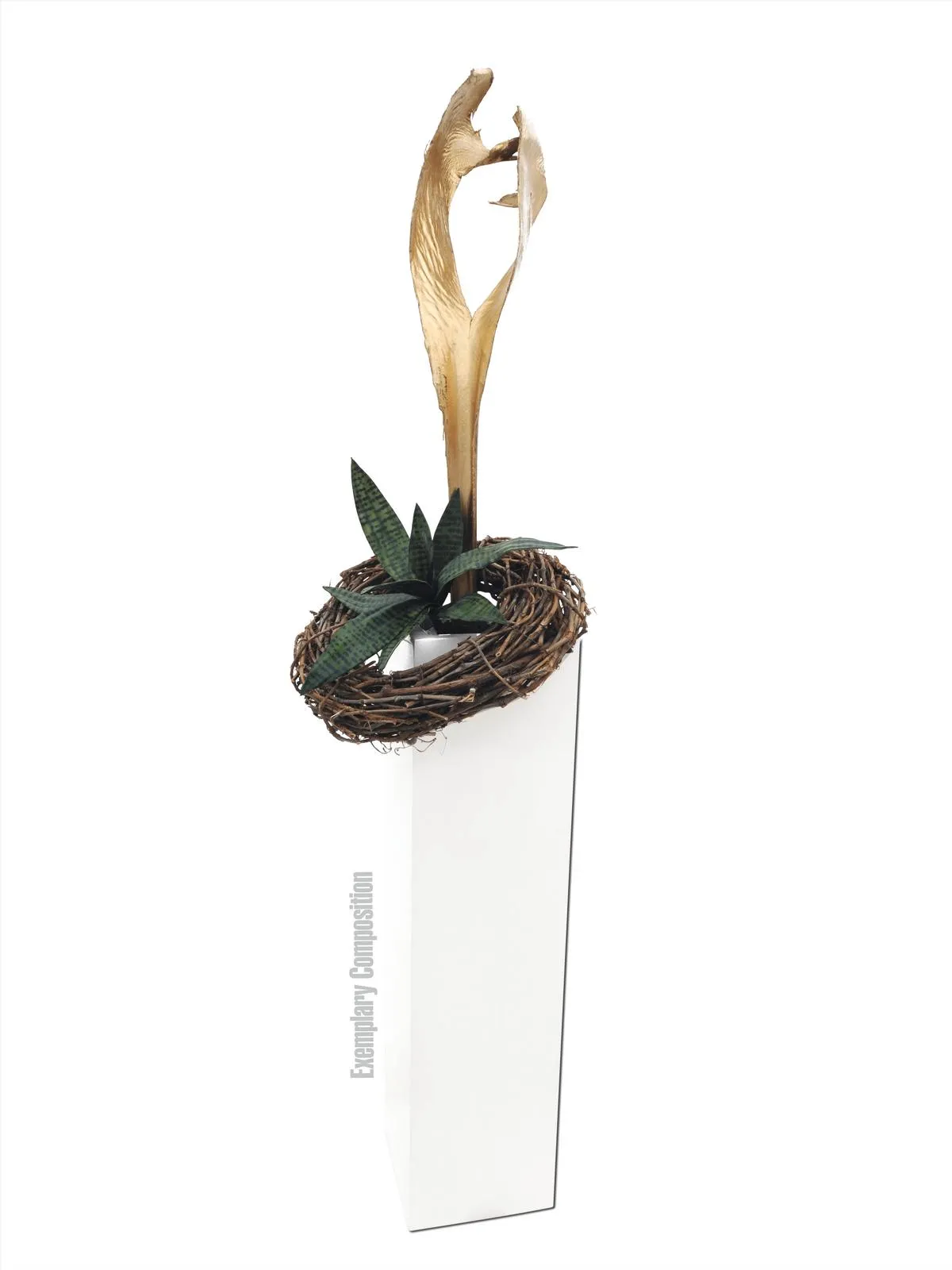 europalms palm leaf, dried, gold - slika 5