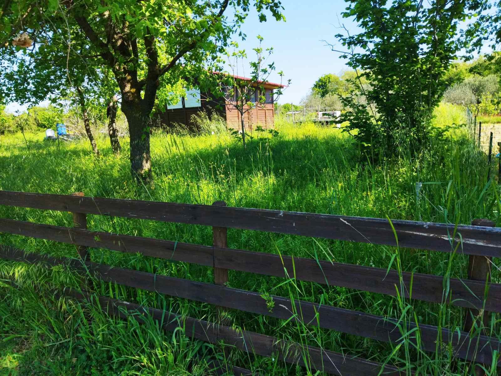 zemljište od 358m2 sa montažnom kućicom 32m2 u marčani, blizu pule - slika 4