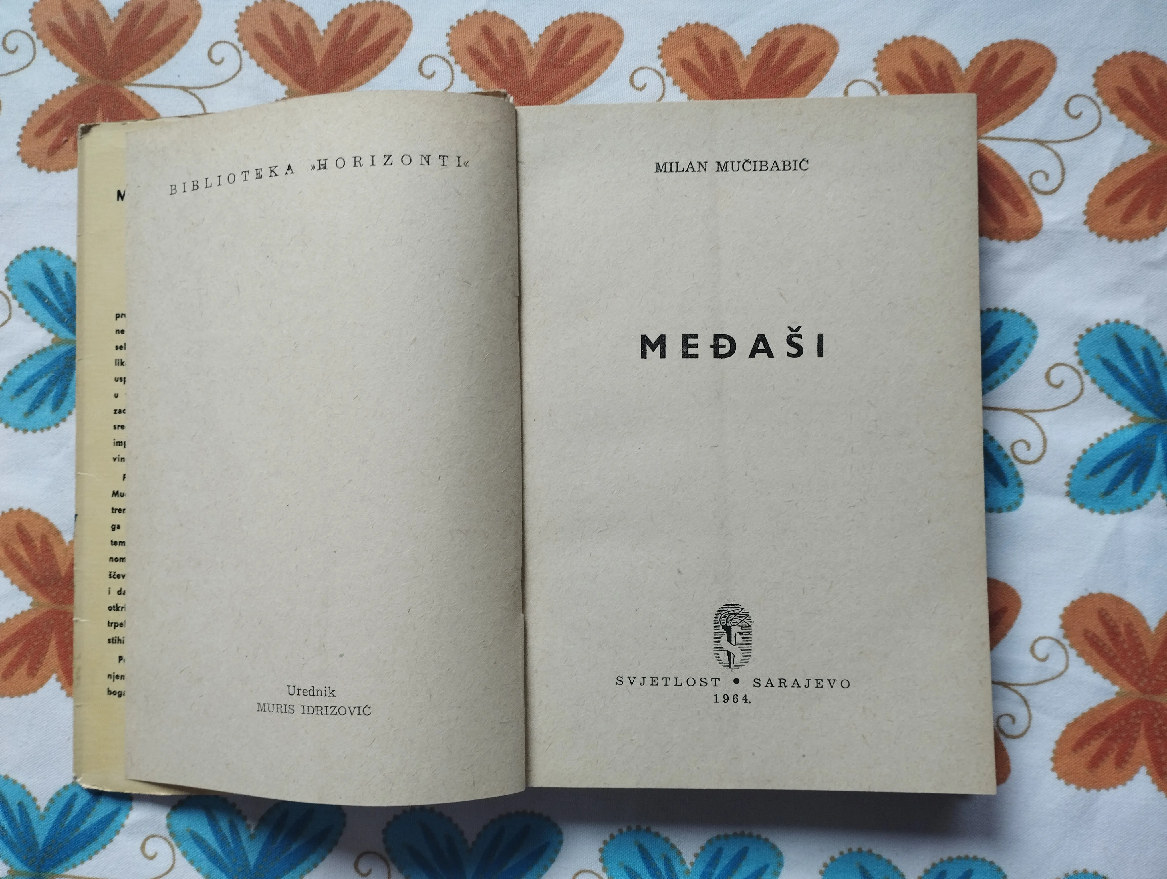 milan mučibabić - međaši - slika 5