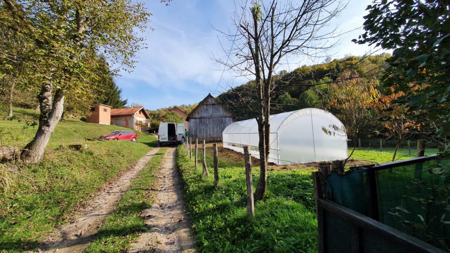 plastenik - 4m širine - slika 6