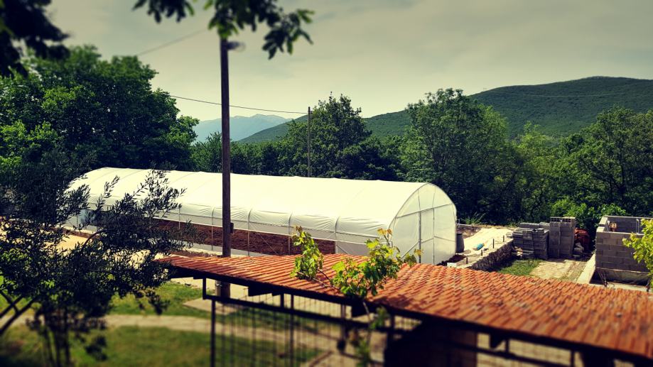 plastenik - 6m širine - slika 2