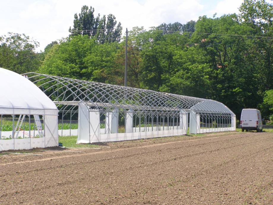 plastenik - 6m širine - slika 4