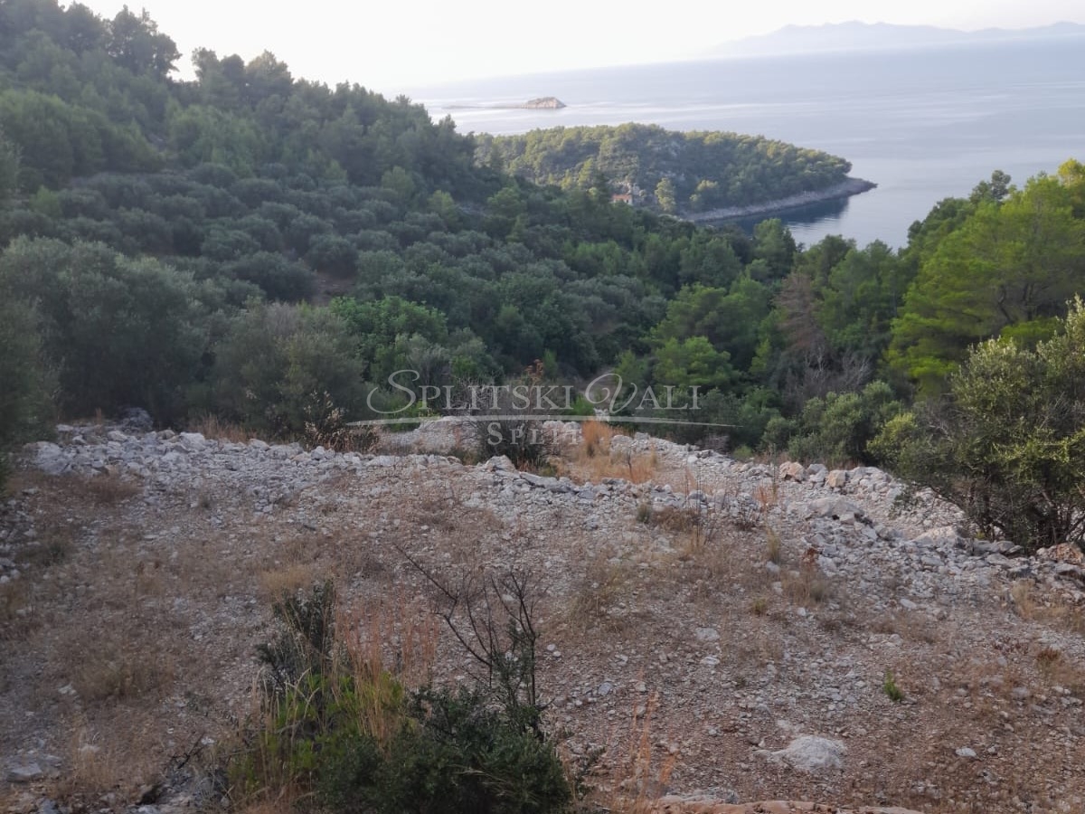 prodaja zemljišta korčula-blato 100 m od mora,mogućnost gradnje - slika 1