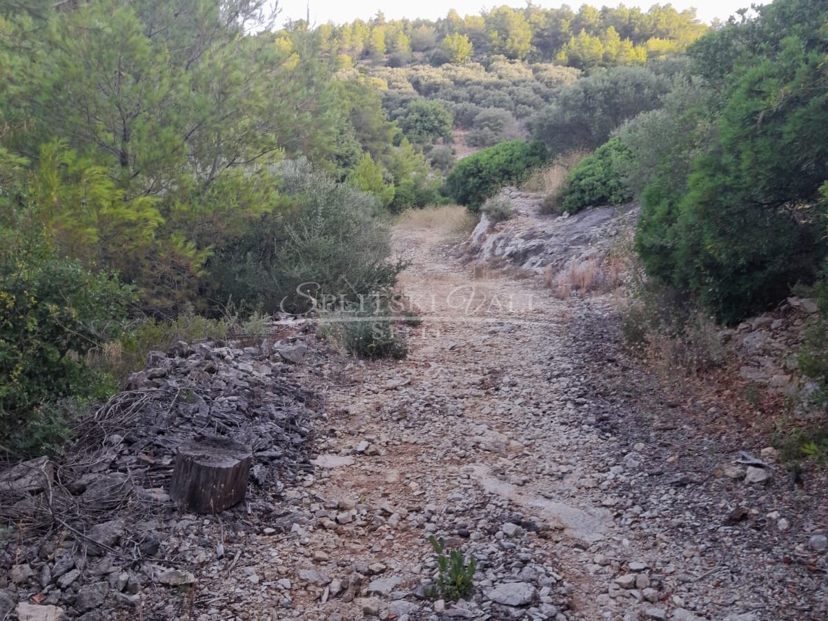 prodaja zemljišta korčula-blato 100 m od mora,mogućnost gradnje - slika 2