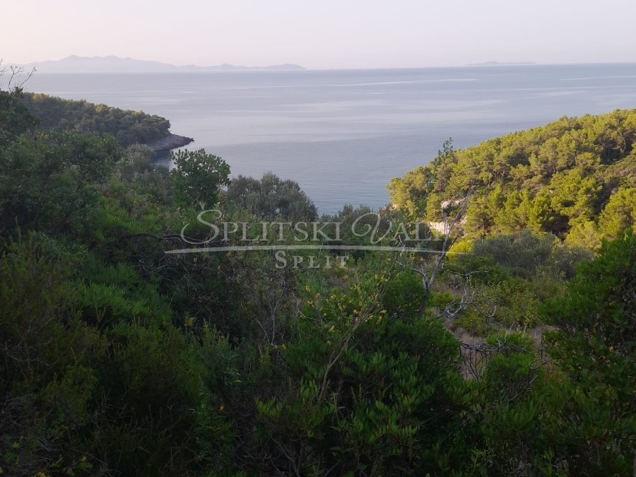 prodaja zemljišta korčula-blato 100 m od mora,mogućnost gradnje - slika 3