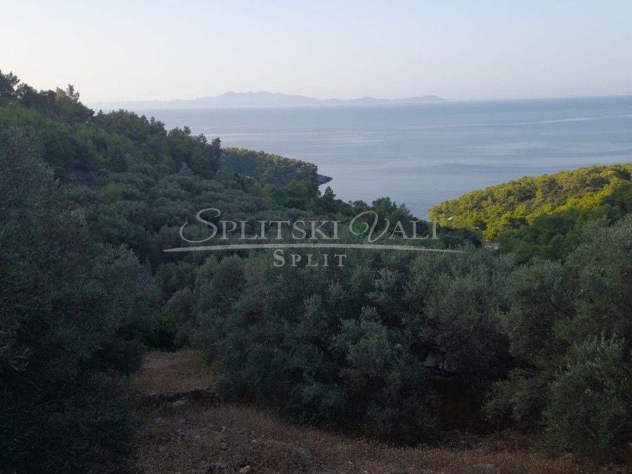 prodaja zemljišta korčula-blato 100 m od mora,mogućnost gradnje - slika 4