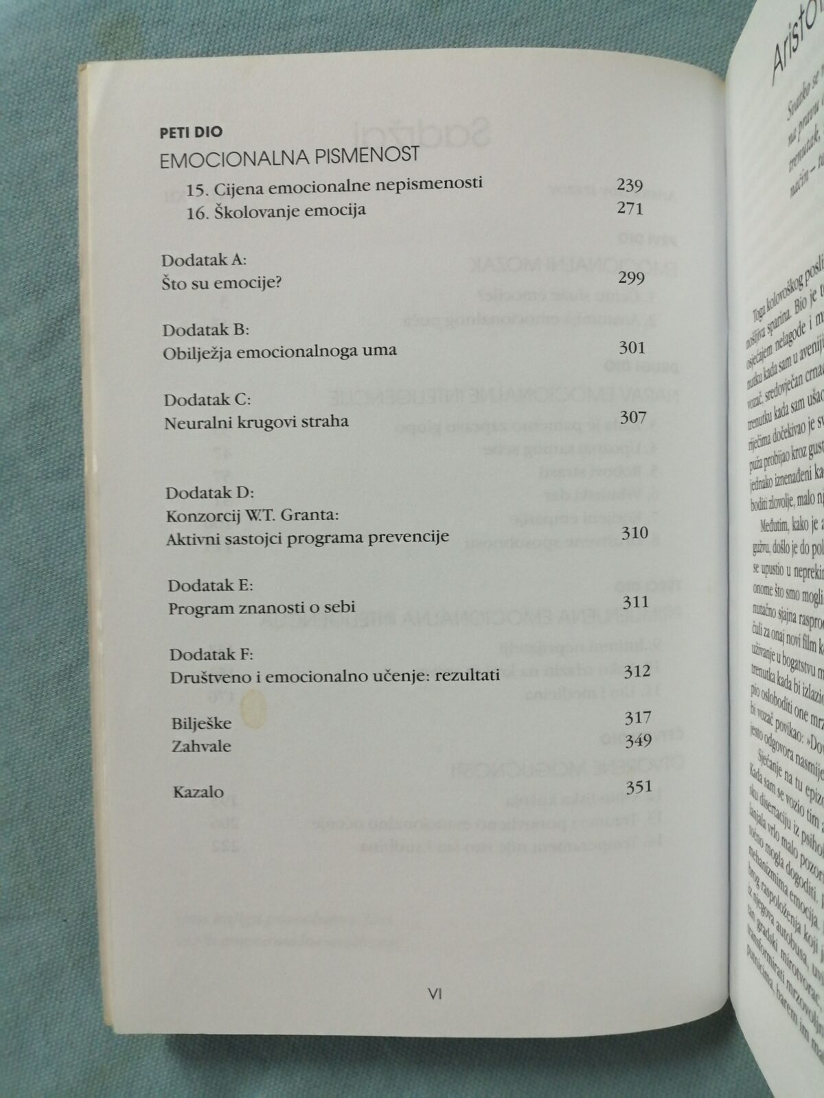 daniel goleman – emocionalna inteligencija [b46] - slika 5
