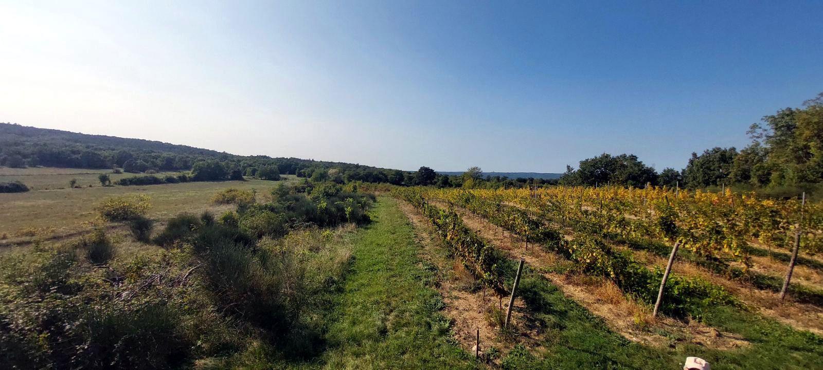 veliko poljoprivredno zemljište - slika 2