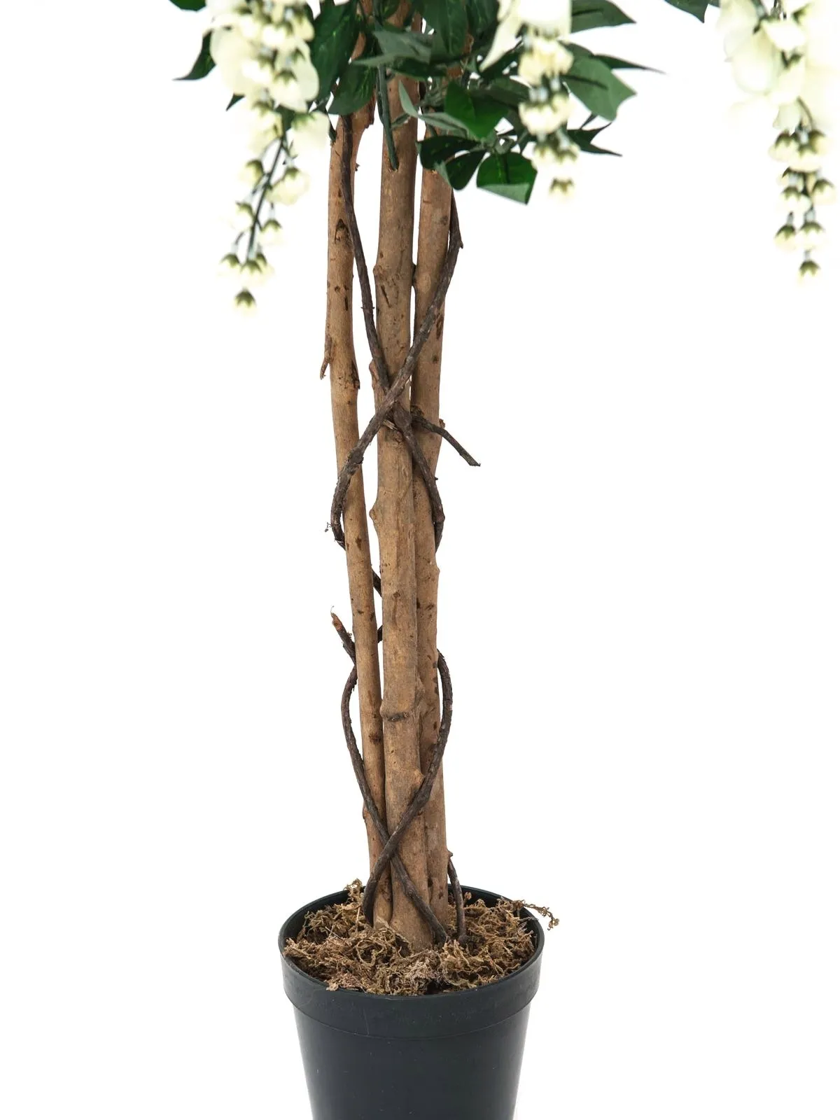 europalms wisteria, white, 180cm - slika 3