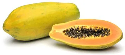 Papaya Formosa - Donja Bistra, Bistra