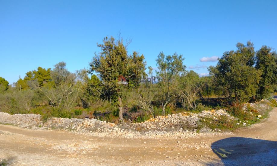 pašman-ždrelac, građevinsko zemljište 933m2 - slika 2