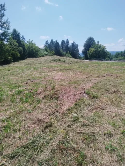 sniženo građevinsko zemljište, drežnik grad, 28.000 m2 - slika 6