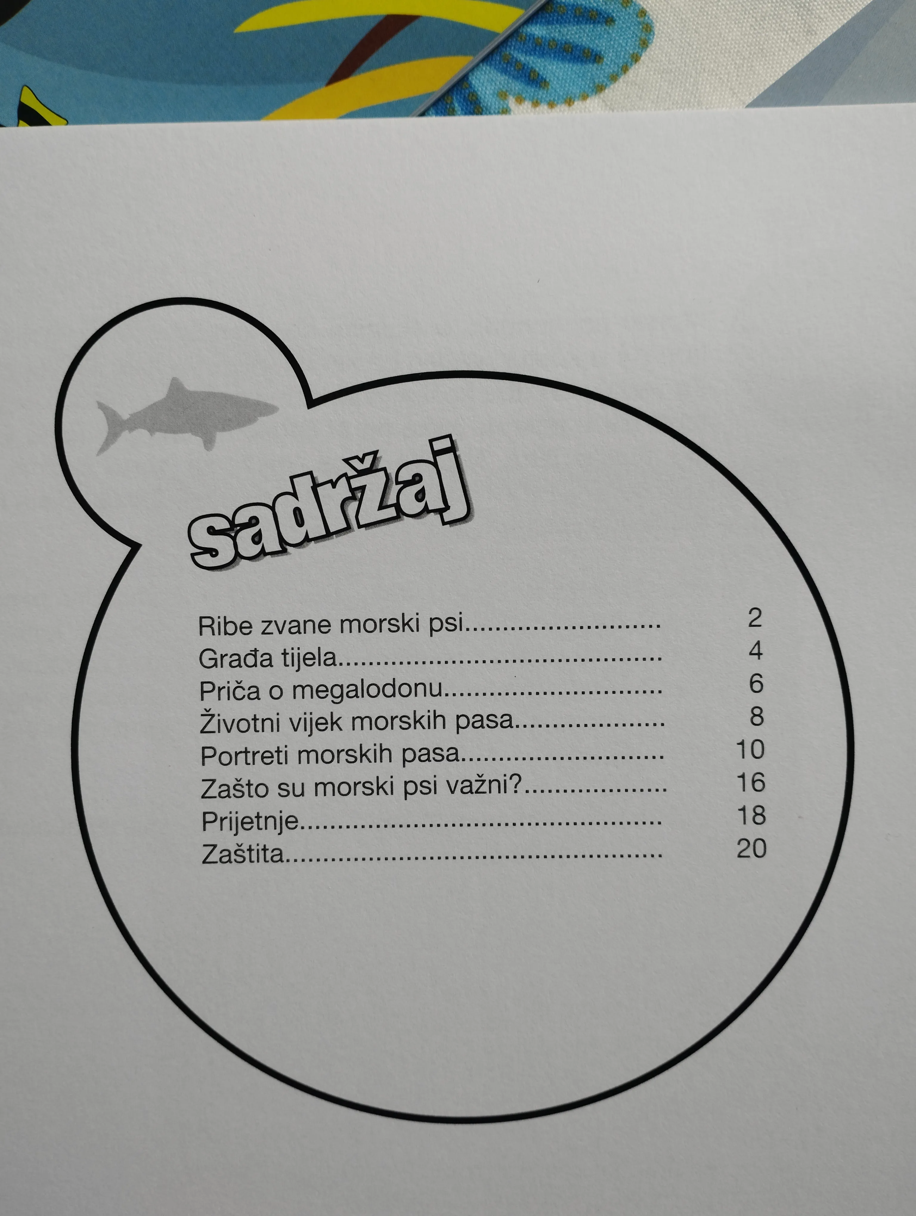 živi svijet morske obale,morske kornjače,morski psi,dupini,ribe lot - slika 4