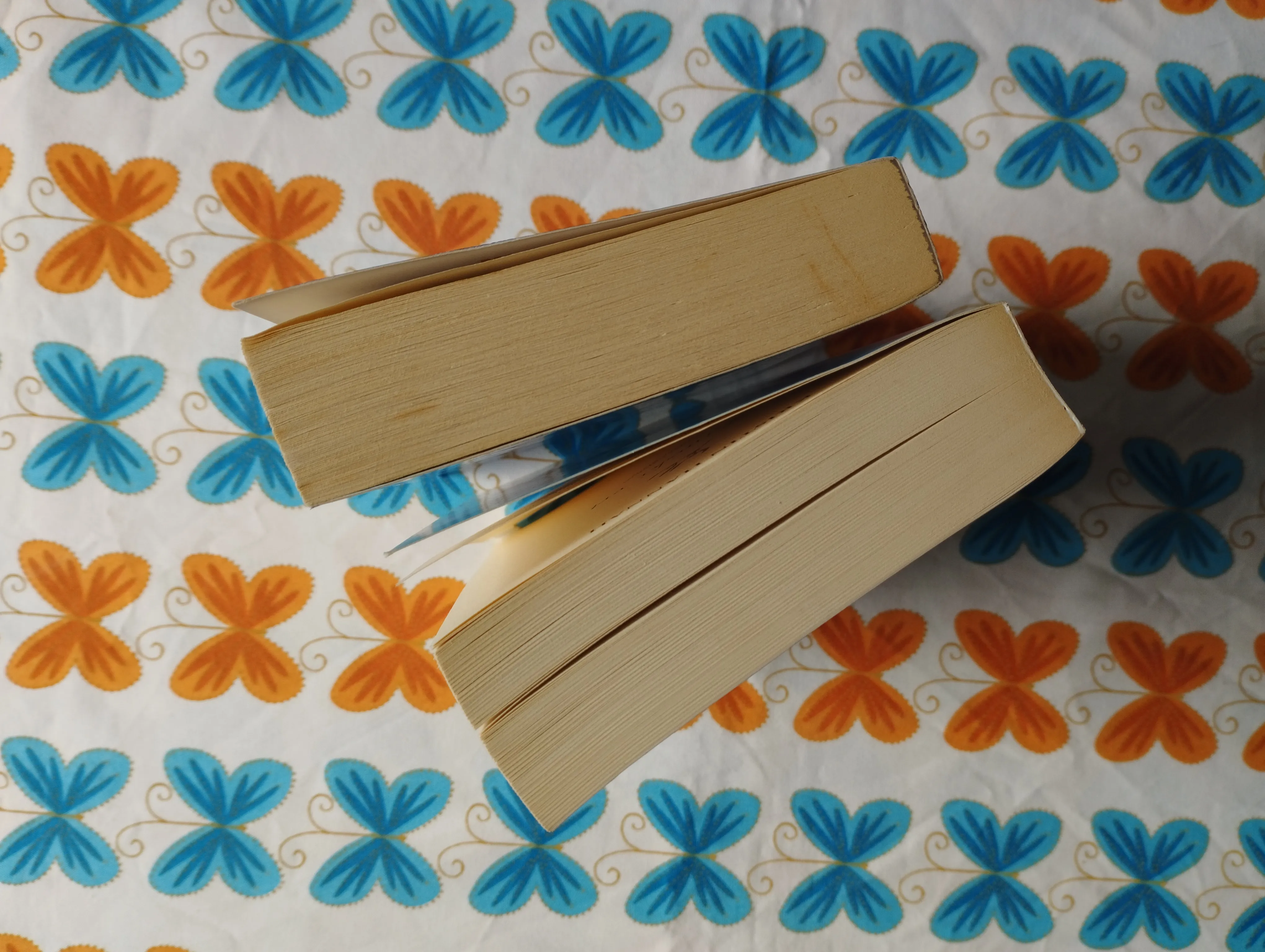 kristin hannah - posljednji ples leptira, zimski vrt - slika 4