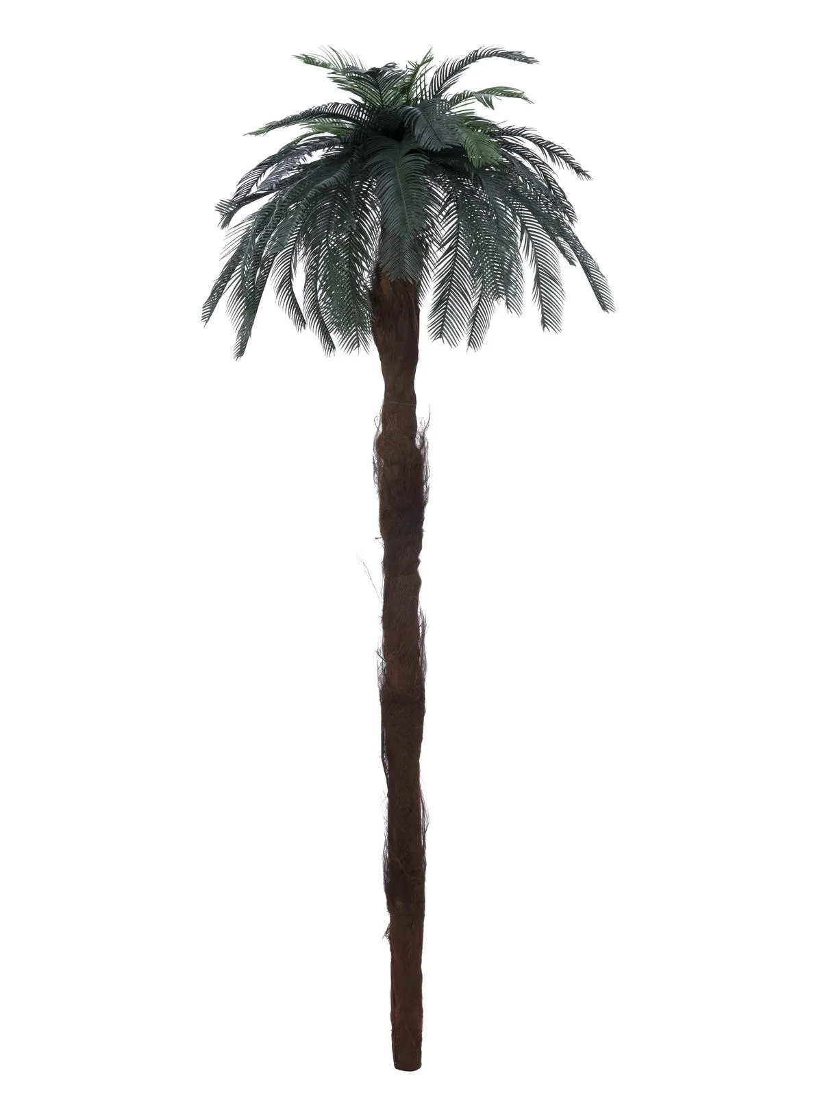 EUROPALMS Cycus palm tree 210cm - Križevci