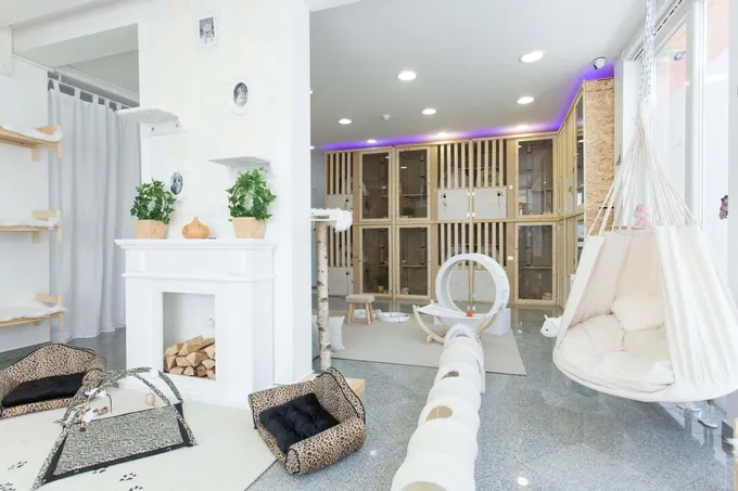 hotel za mace zagreb – royal vip (duži boravak) - slika 4