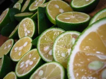 Naranča Yuzu 53,09e - Donja Bistra, Bistra