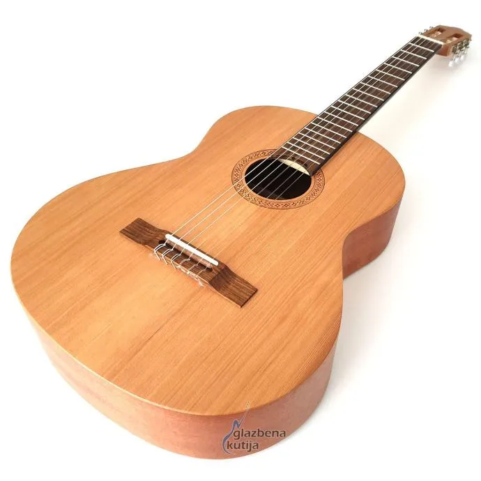 apc 1c op klasična gitara - slika 2