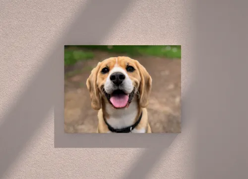 Slikarsko platno na okviru sa fotografijom ljubimca - Osijek