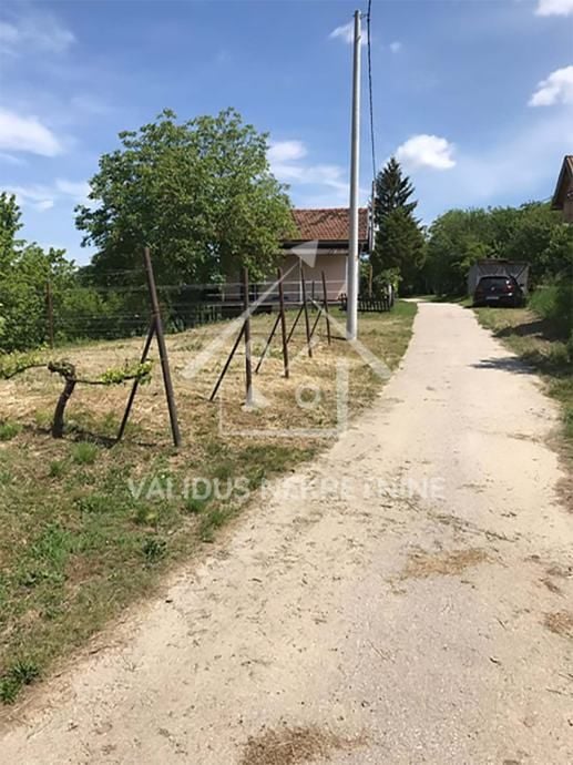 Poljoprivredno zemljište, Velika Ludina, 1375 m2