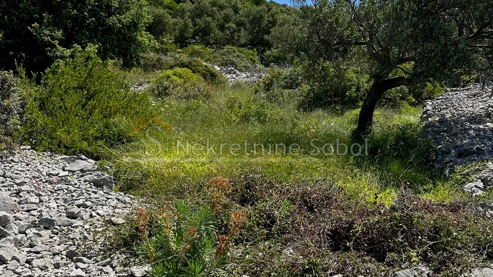 ćunski, otok lošinj - građevinsko, 630 m2 prodaja - slika 2