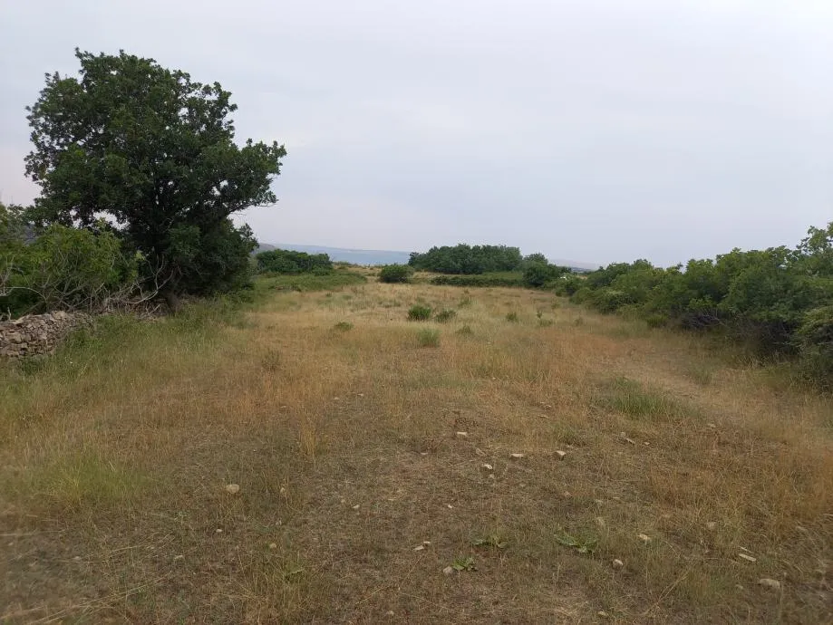 ražanac( rudići)-poljoprivredno zemljište s pogledom na more 3215 m2 - slika 5