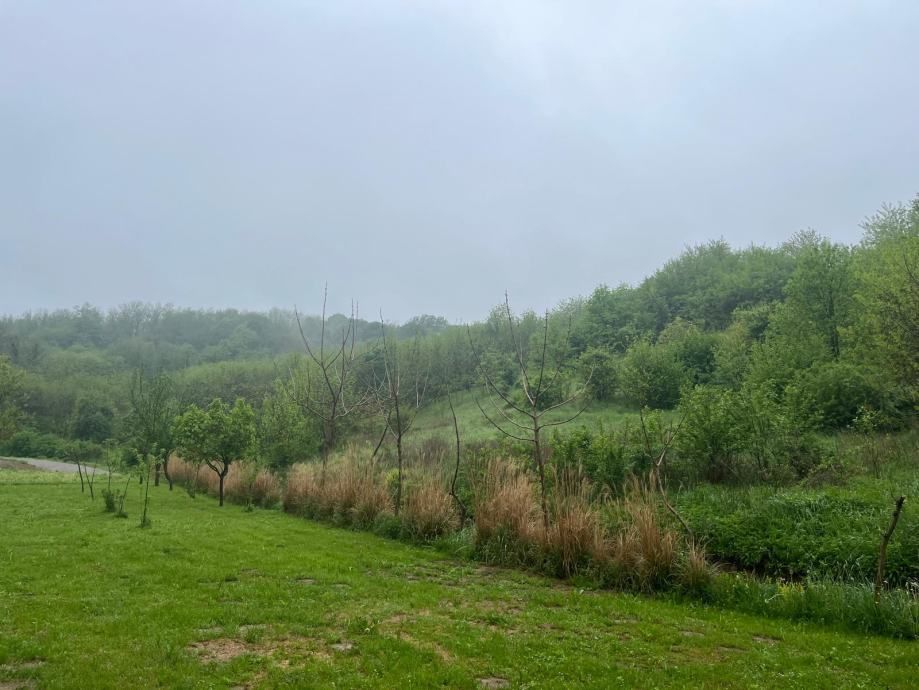 građevinska i poljoprivredna zemljišta, sv.đurađ, virovitica, 20268 m2 - slika 5