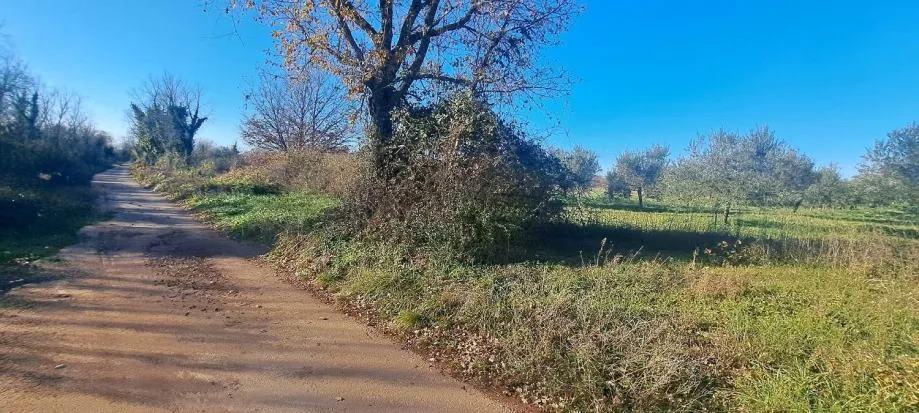 vabriga-zemljište za sport i rekreaciju na prodaju - slika 3