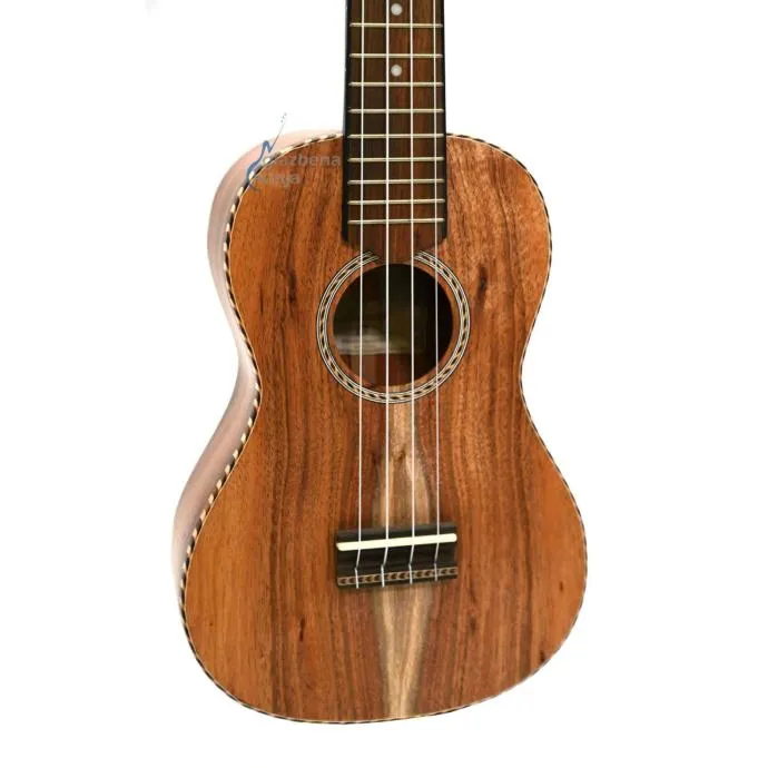 apc ct concerto ukulele - slika 3