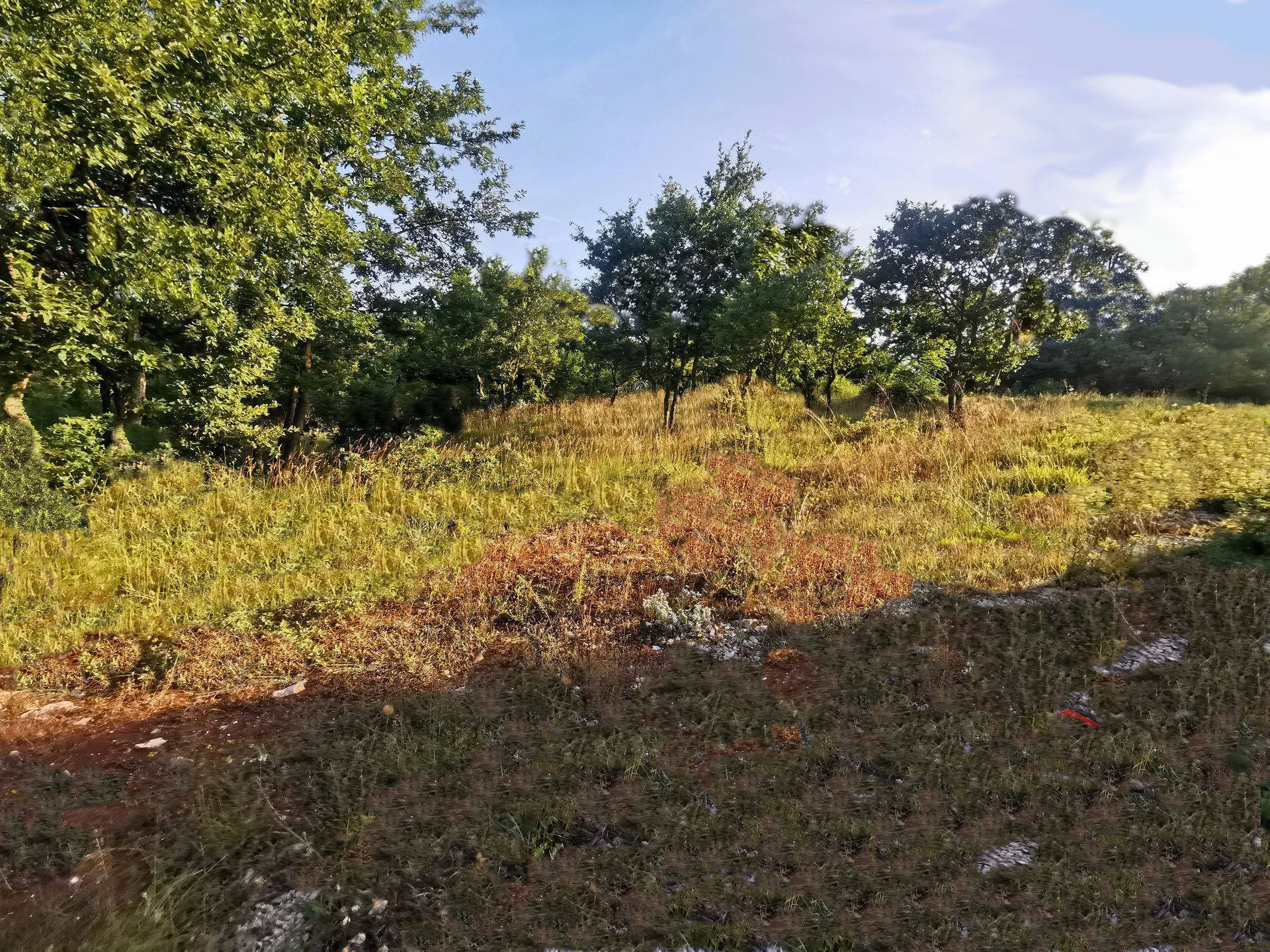 istra svetvinčenat poljoprivredno zemljište 9,045 m2 - slika 3
