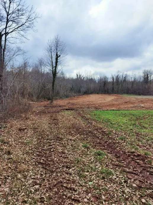istra, barban, prodaja poljoprivrednog zemljišta 11700 m2 - slika 8