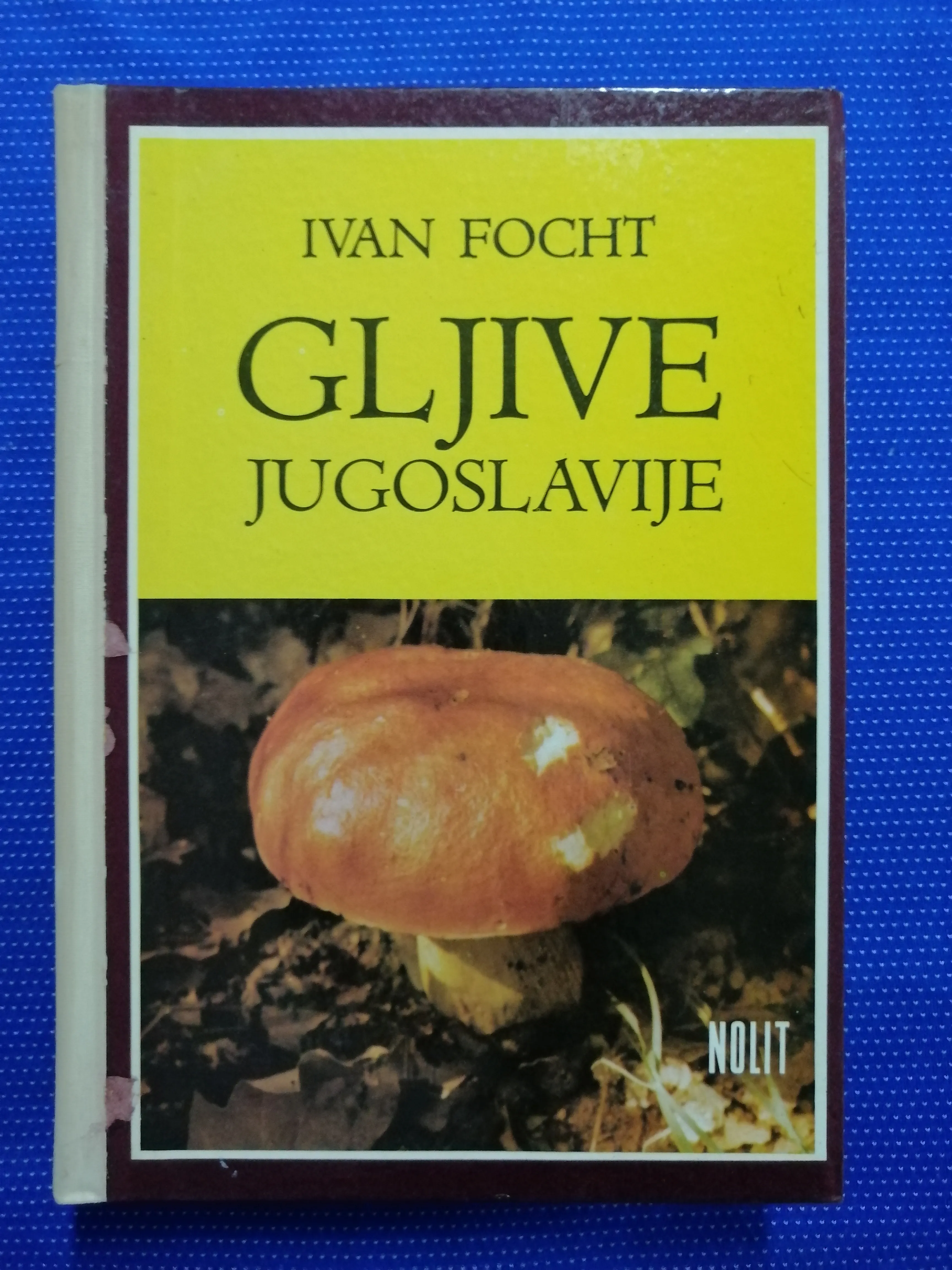 ivan focht – gljive jugoslavije i. - slika 1