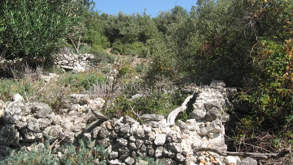 ustrine, otok cres - kuća (ruševina), 92 m2 prodaja - slika 11