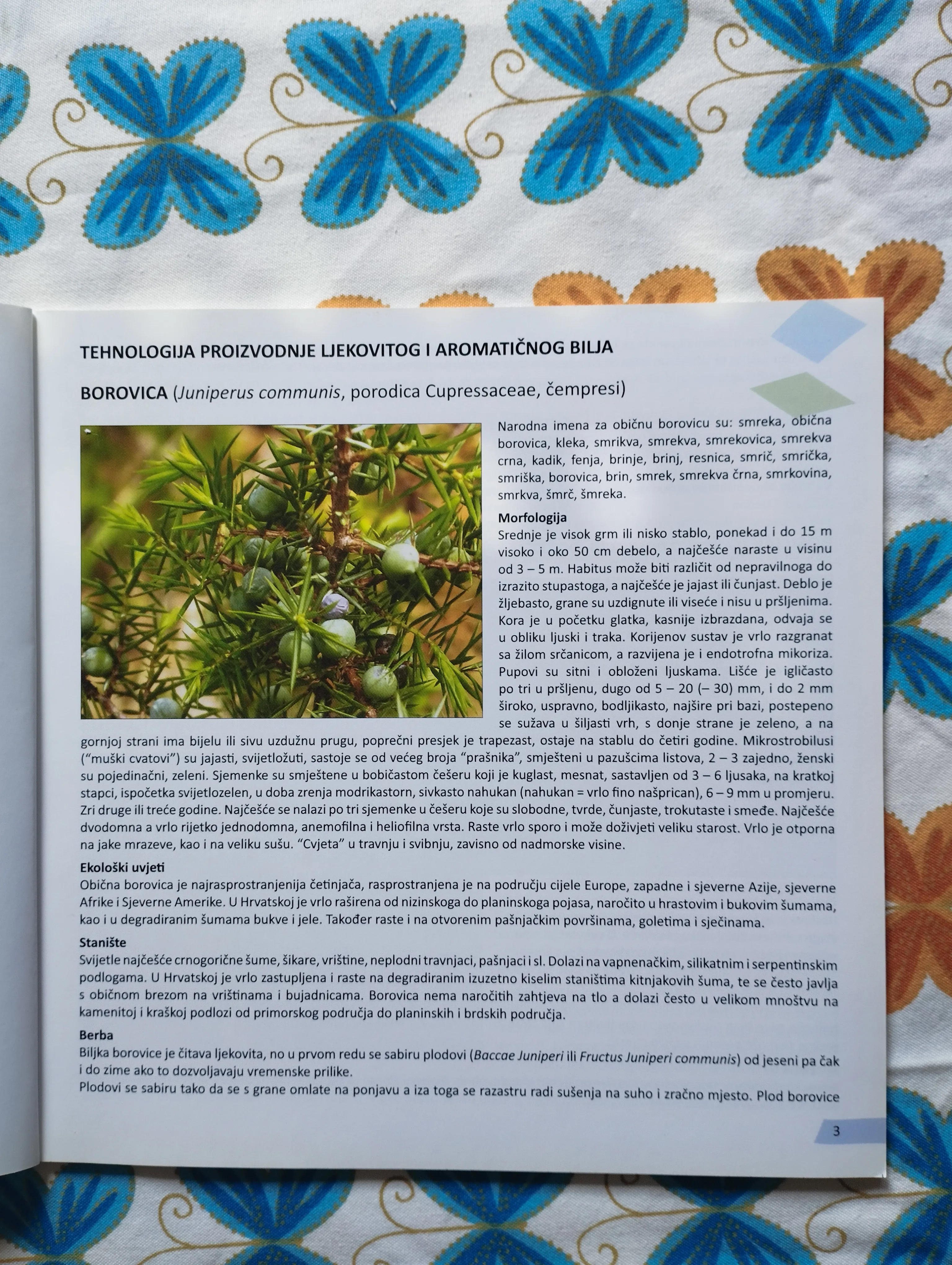 ivan mihovilović -proizvodnja i prerada ljekovitog i aromatičnog bilja - slika 3