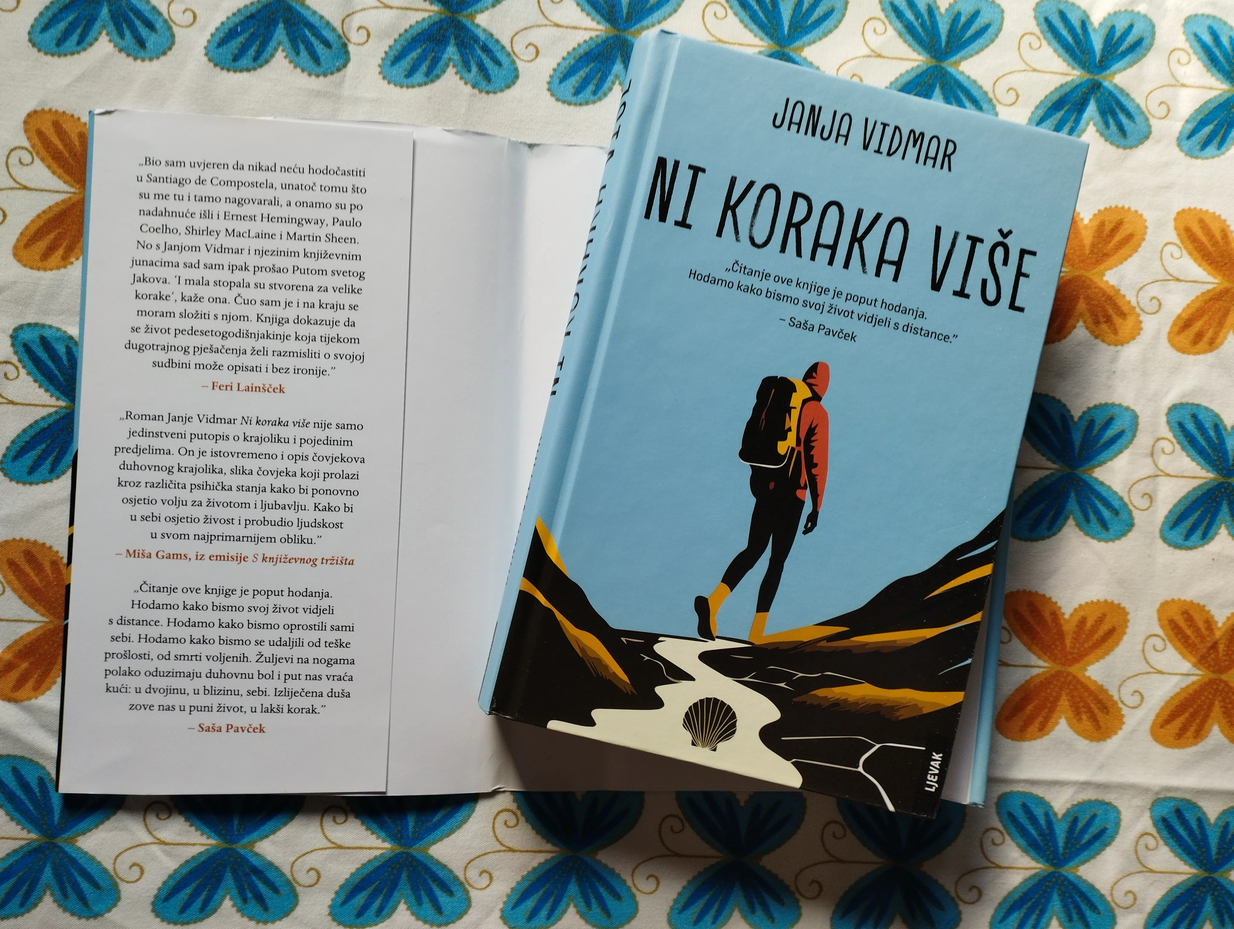 janja vidmar - ni koraka više - slika 5