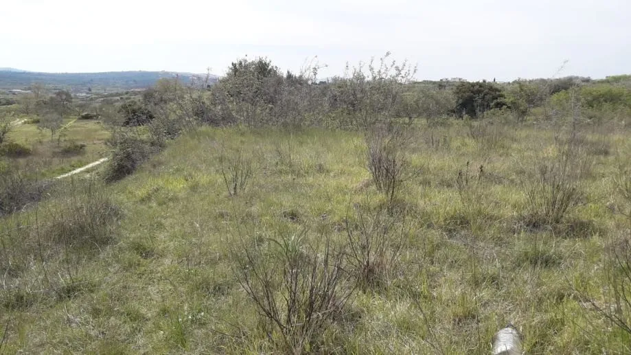 zadar-vidikovac- građevinsko zemljište 2080 m2 - slika 2