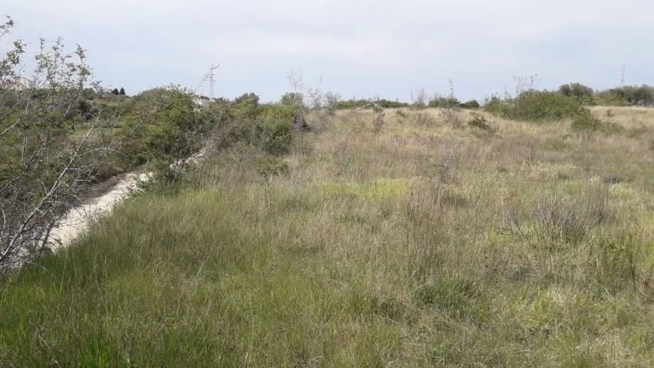 zadar-vidikovac- građevinsko zemljište 2080 m2 - slika 4