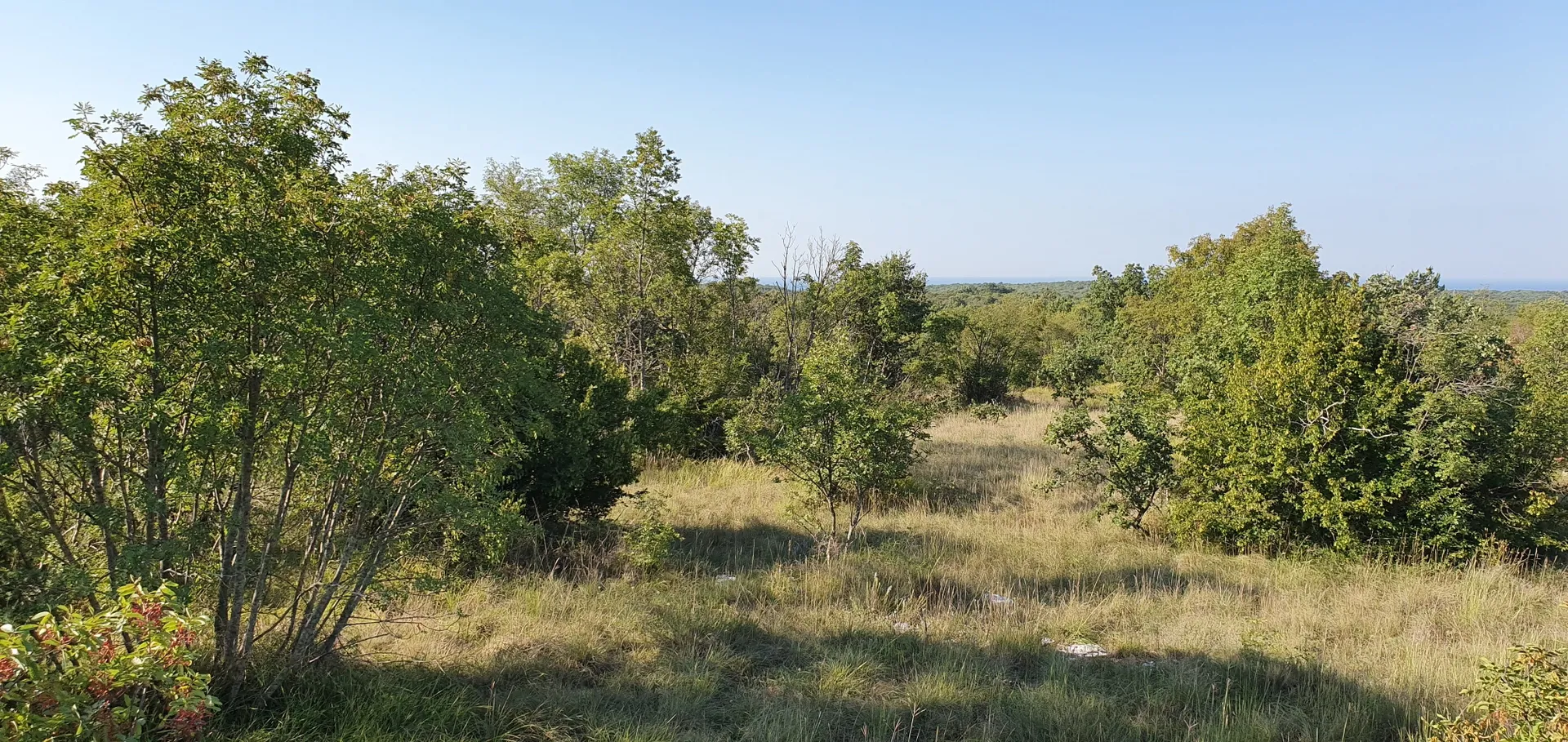 odlična prilika ,prodajemo cijelo brdo s pogledom na more i s malom kamenom kućicom u blizini rovinja - slika 10