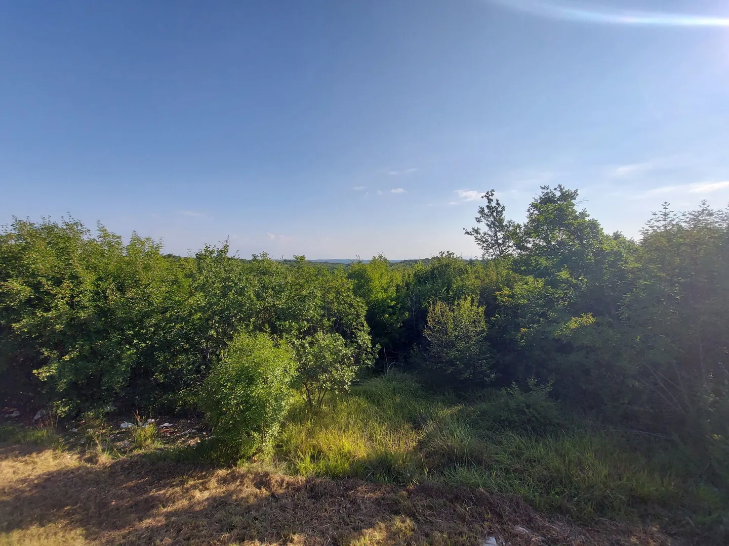 odlična prilika ,prodajemo cijelo brdo s pogledom na more i s malom kamenom kućicom u blizini rovinja - slika 4
