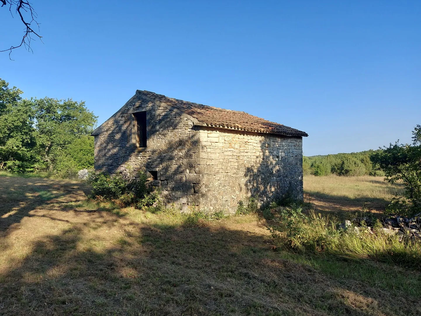 Odlična prilika ,prodajemo cijelo brdo s pogledom na more i s malom kamenom kućicom u blizini Rovinja - Momjan, Buje