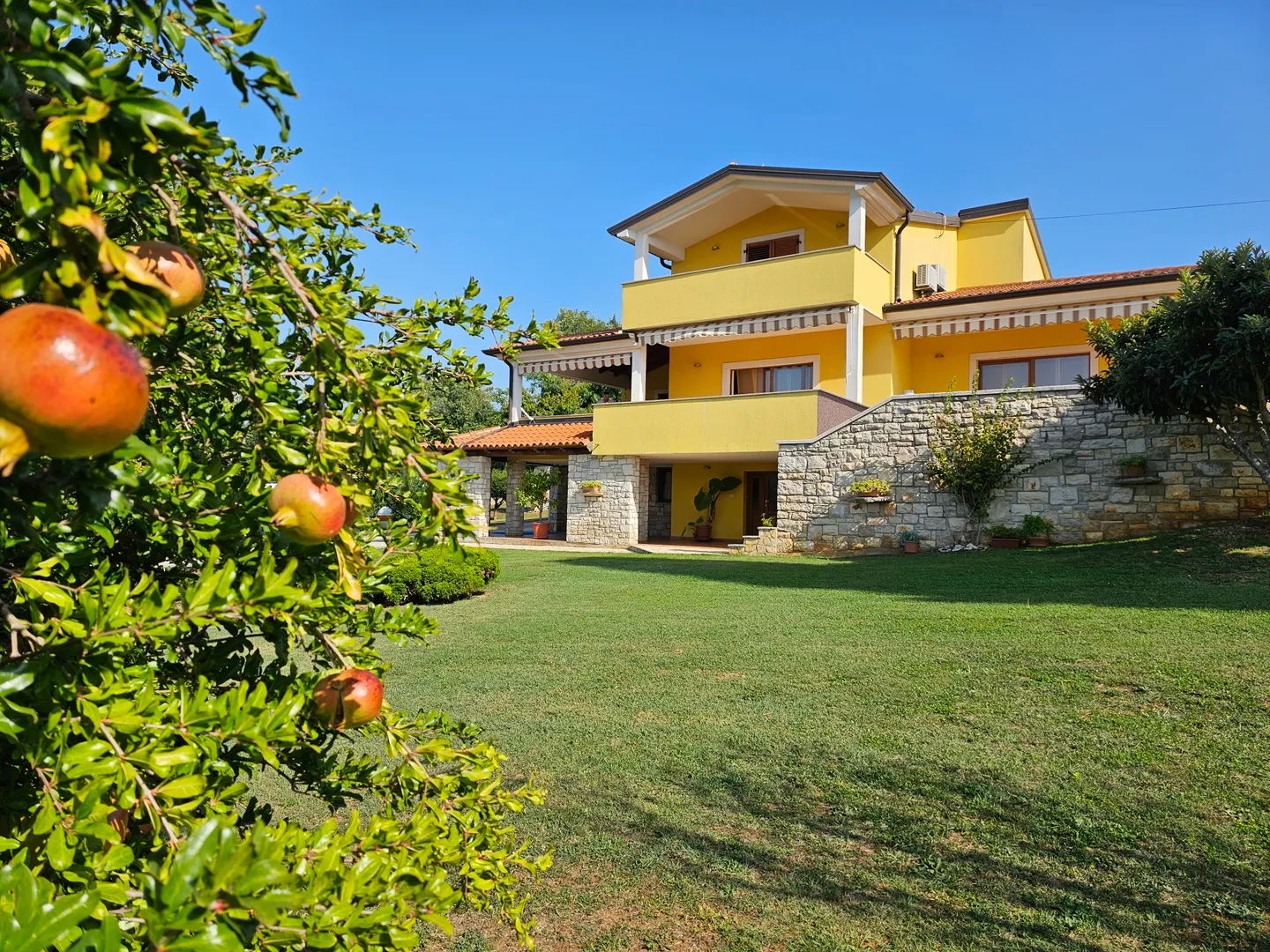 vila s otvorenim pogledom na more i zelenilo u okolici buja - slika 1