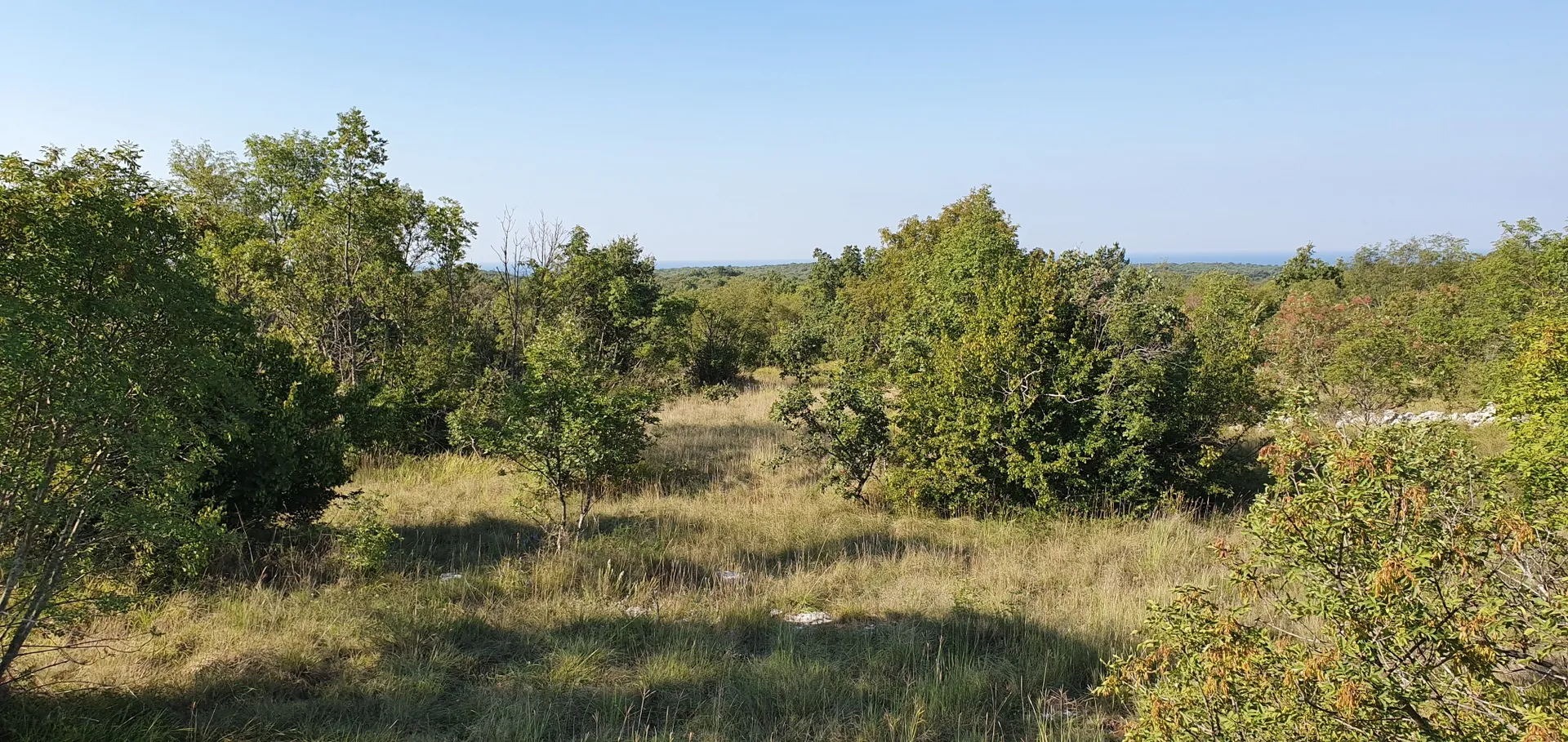 odlična prilika ,prodajemo cijelo brdo s pogledom na more i s malom kamenom kućicom u blizini rovinja - slika 9