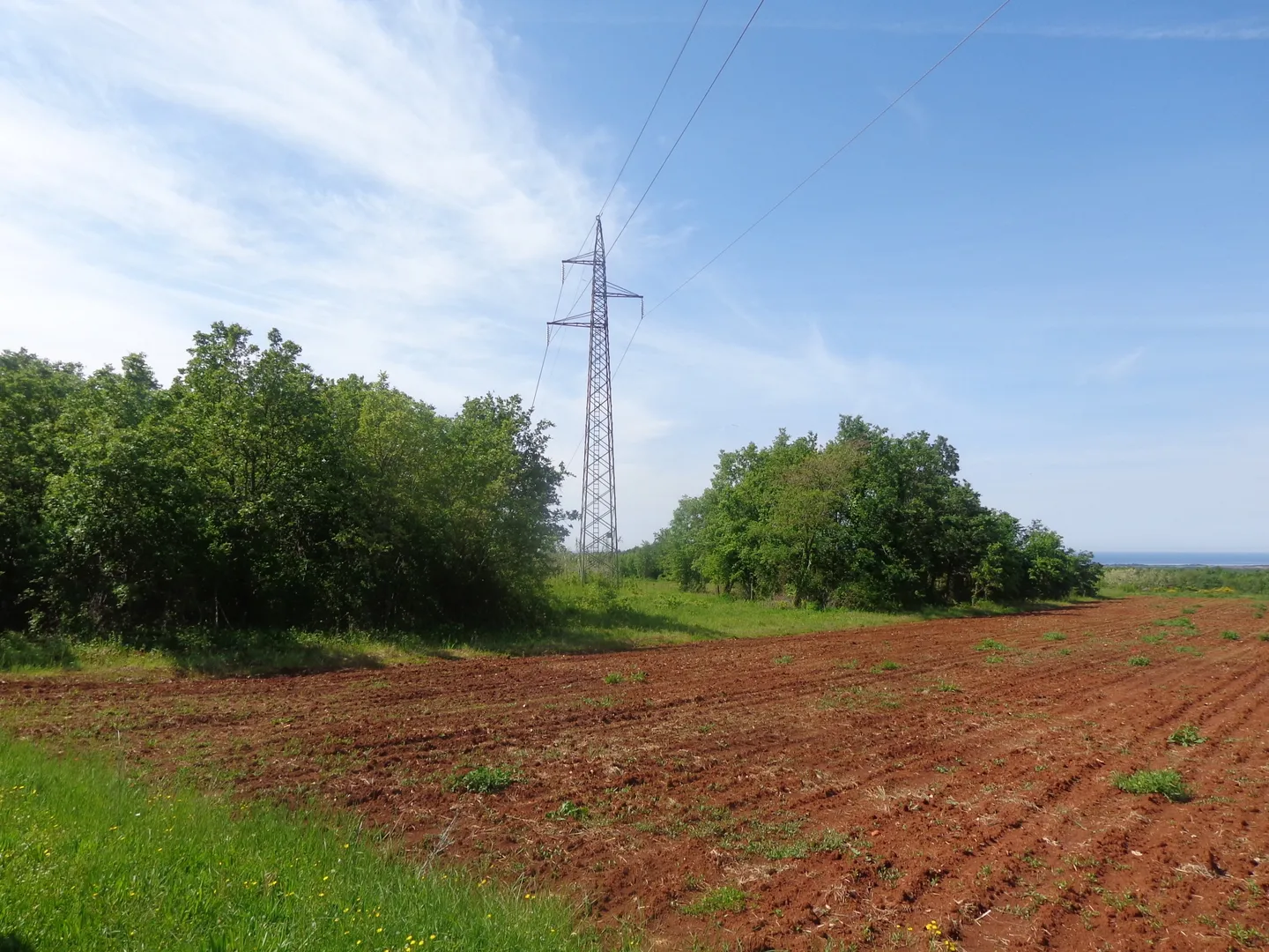 veliko poljoprivredno zemljište - slika 3